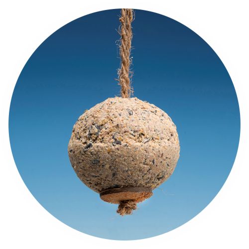 Premium Meisenknödel