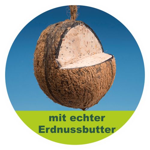 3/4 Kokosnuss mit Plattform, mit Samen, Rindertalg und Erdnussbutter gefüllt