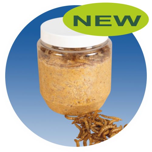 Peanut butter, with BSF larvae, 350g