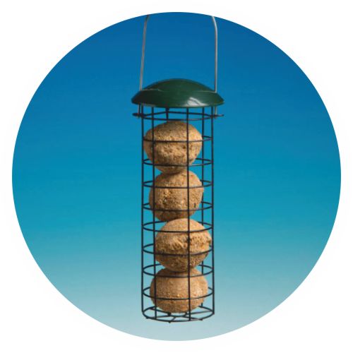 Premium Feeder with 4 suet balls