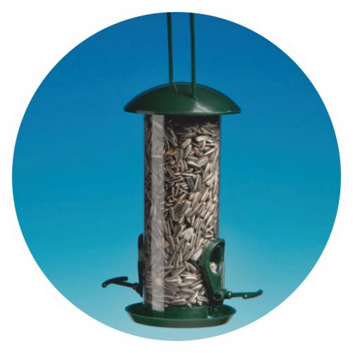 Premium Feeder with sunflower seeds
