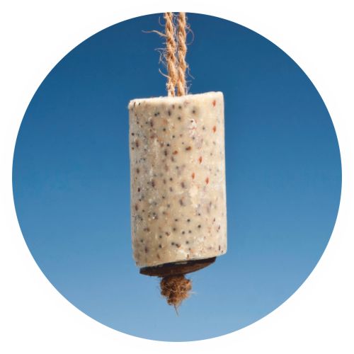 Suet Sausage with peanuts with string